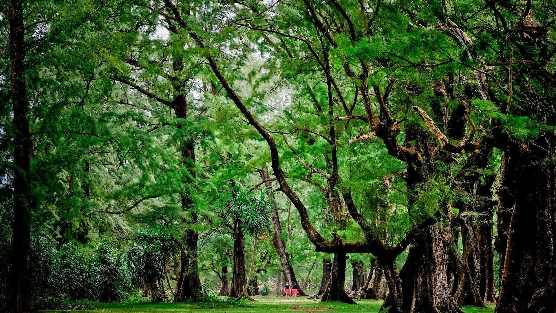 Naiyang Park Resort - Sha Extra Plus Nai Yang Beach
